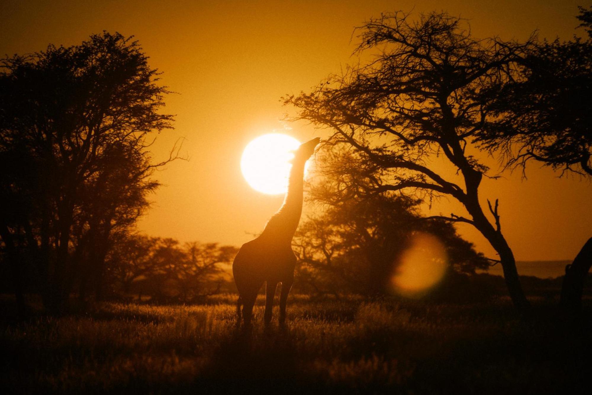 فندق Our Habitas Namibia ويندهوك المظهر الخارجي الصورة